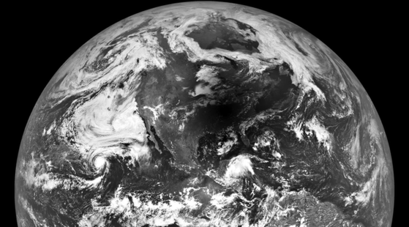 Setting out the principles of post-growth conservation.